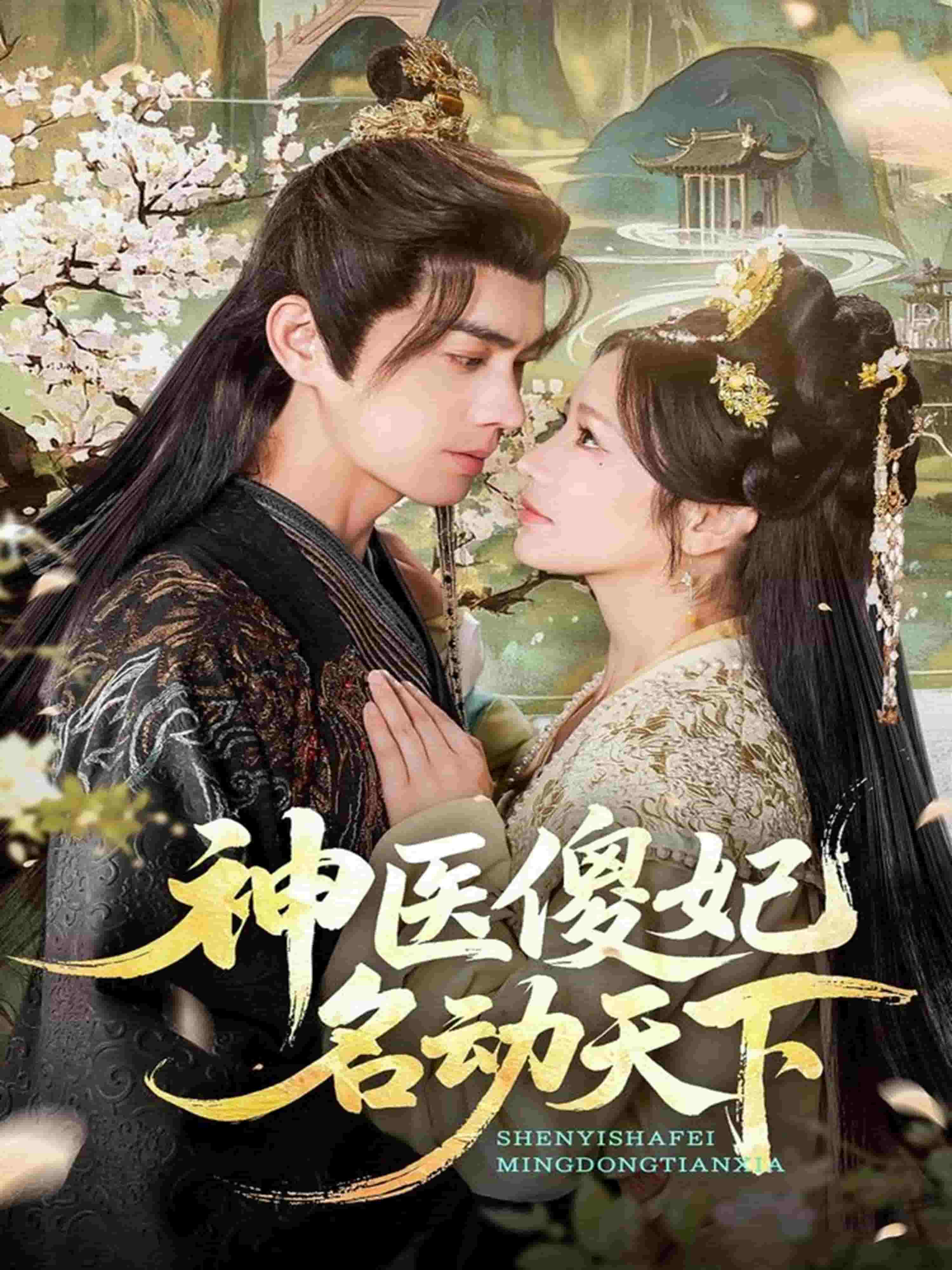 神医傻妃名动天下封面