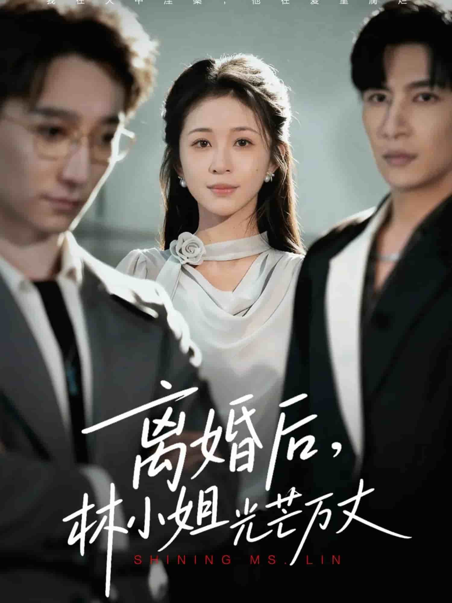 离婚后林小姐光芒万丈封面