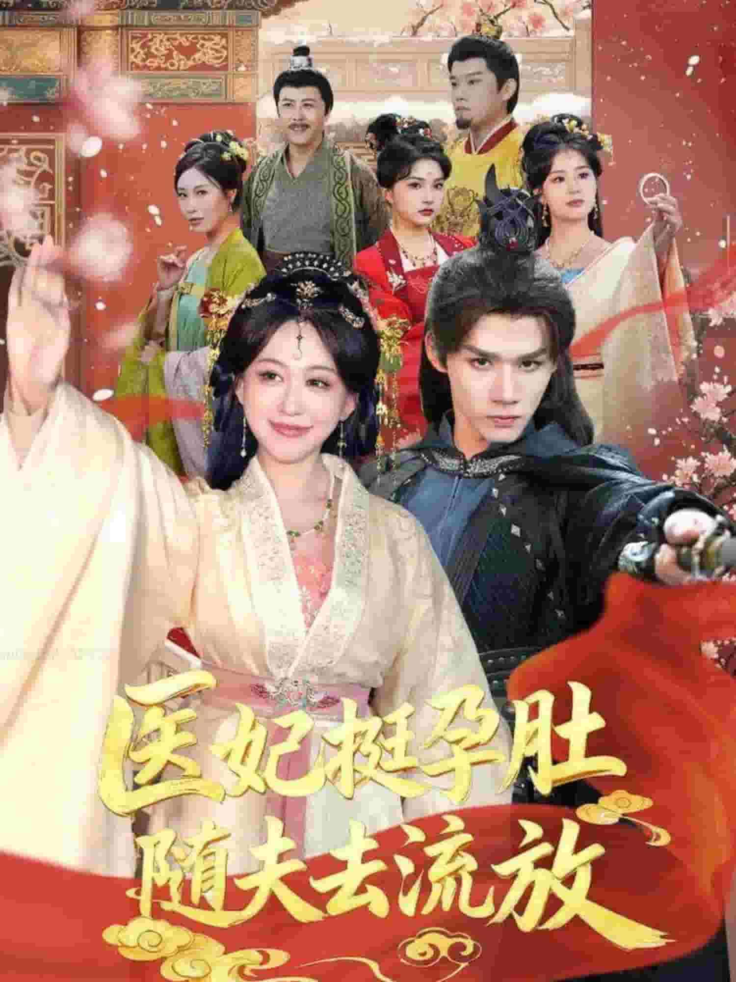 医妃挺孕肚随夫去流放封面