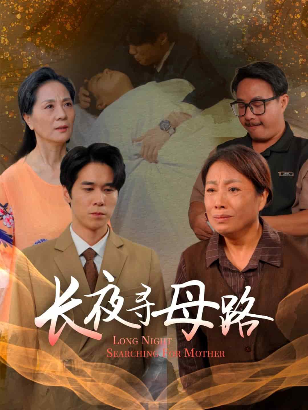 长夜寻母路封面