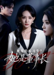被甩的实习生？她是董事长封面