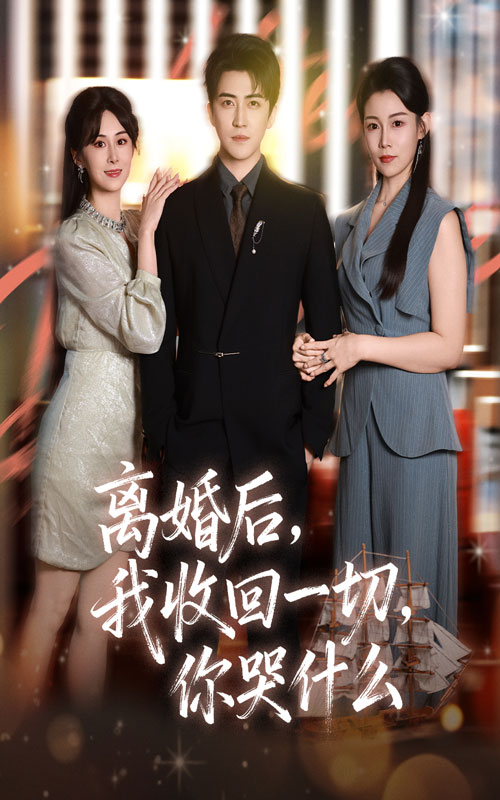离婚后我收回一切你哭什么封面