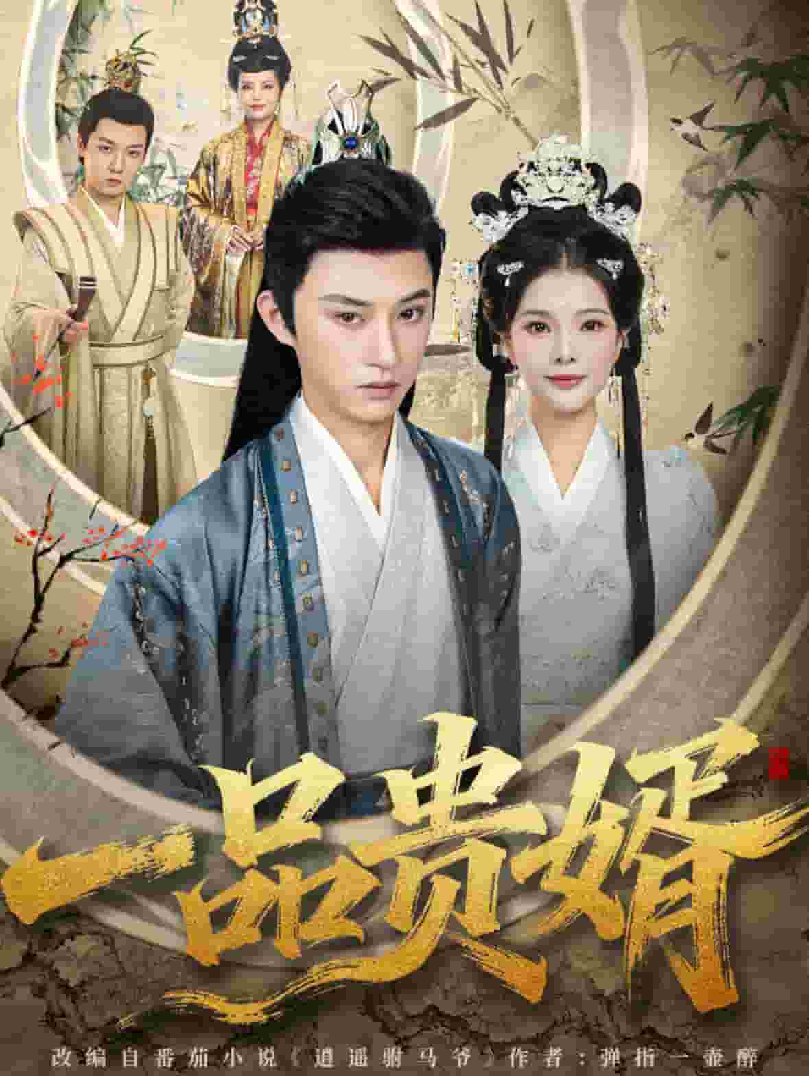 一品贵婿封面