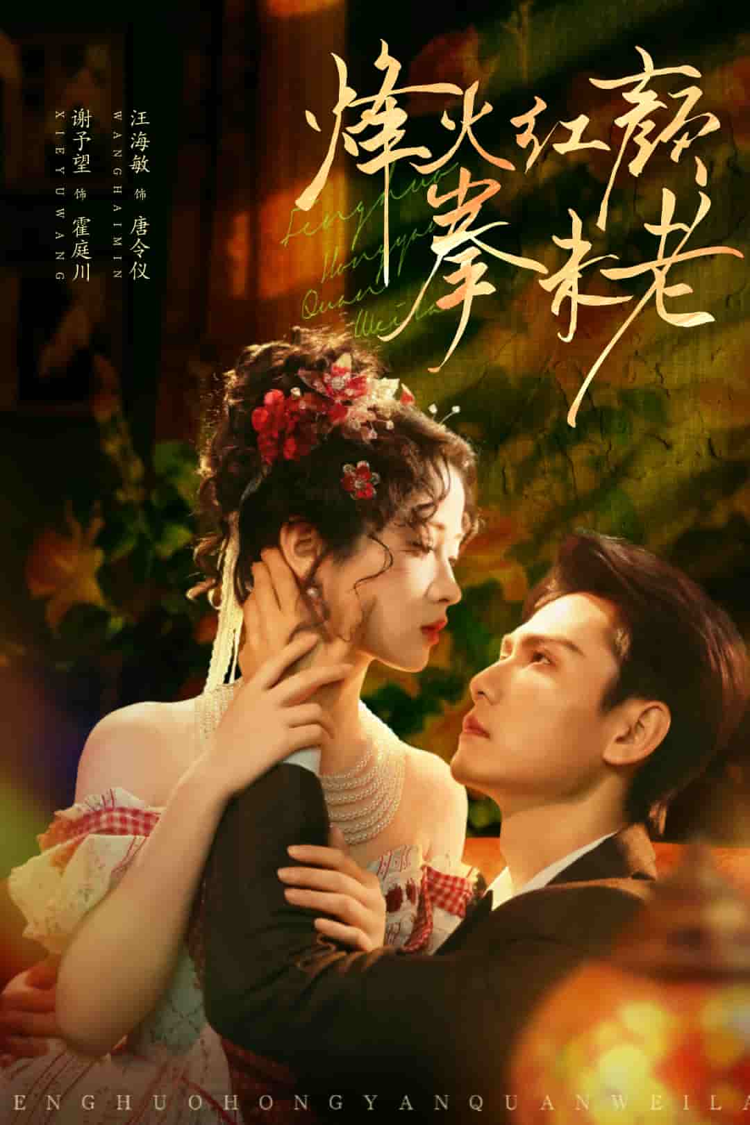 烽火红颜拳未老封面