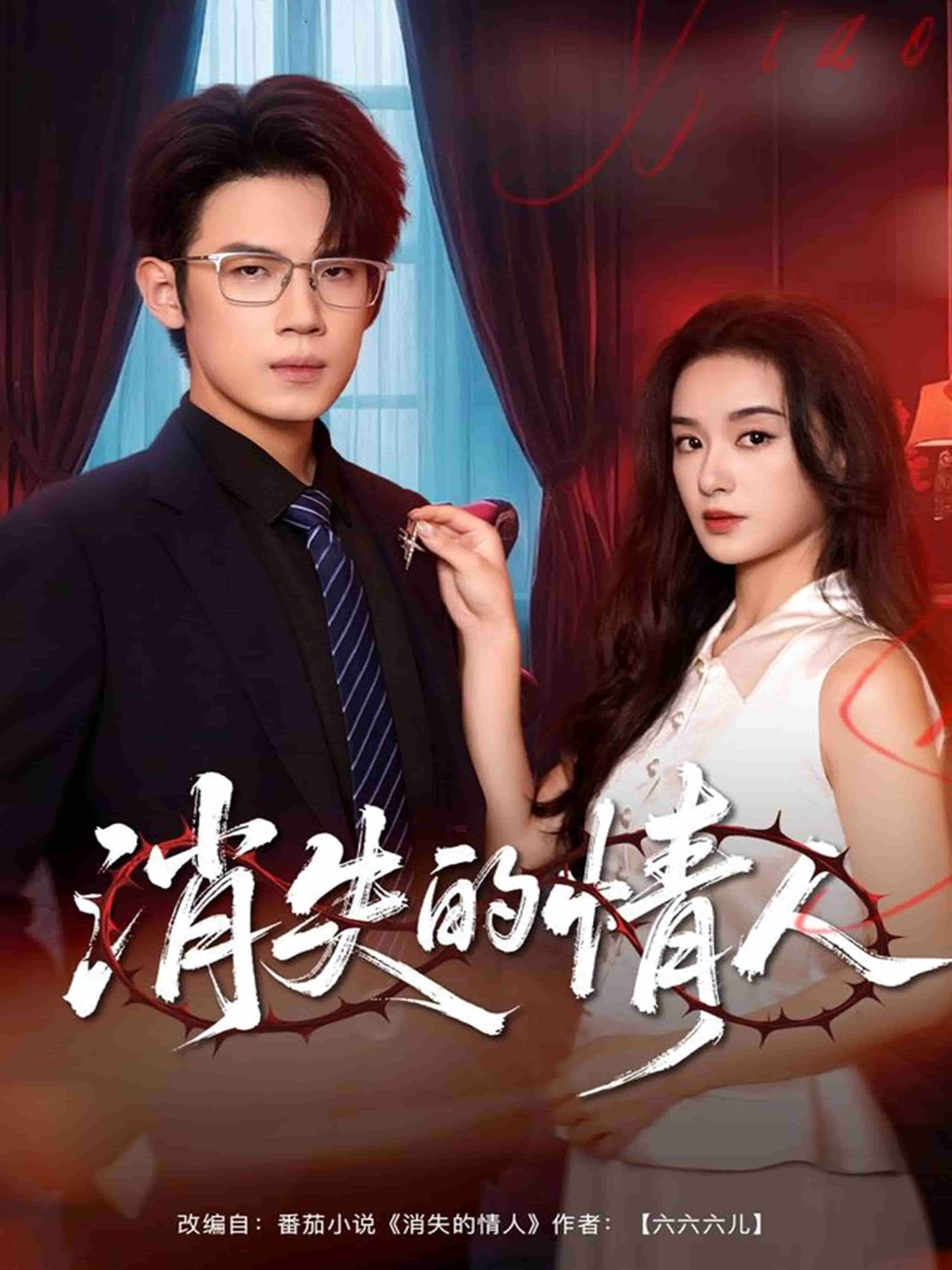 消失的情人封面