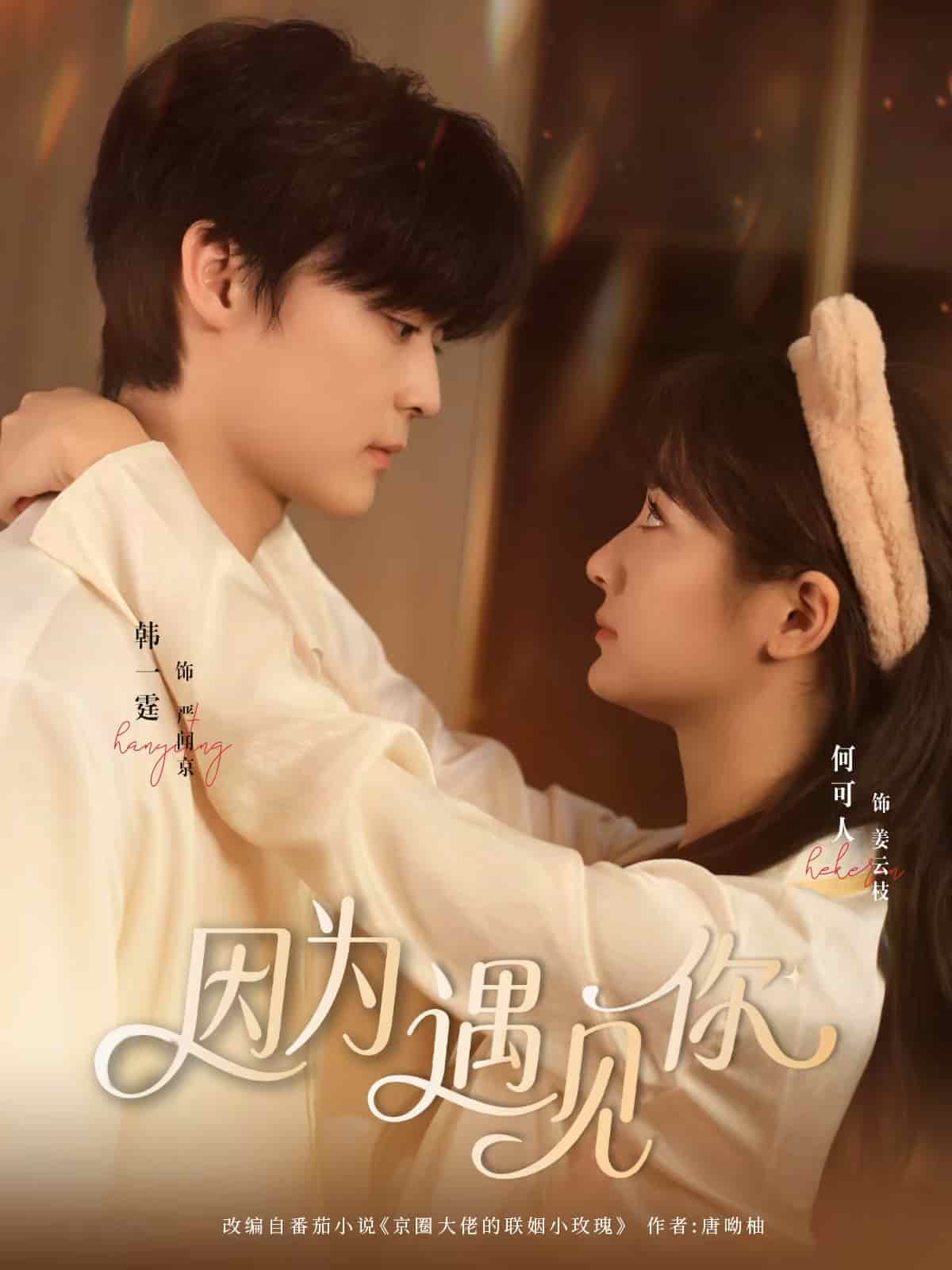 因为遇见你（短剧版）封面