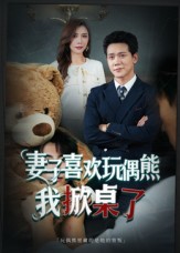 妻子玩偶里的秘密封面