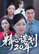 精心谋划20年封面
