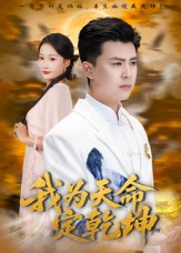 我为天命定乾坤封面