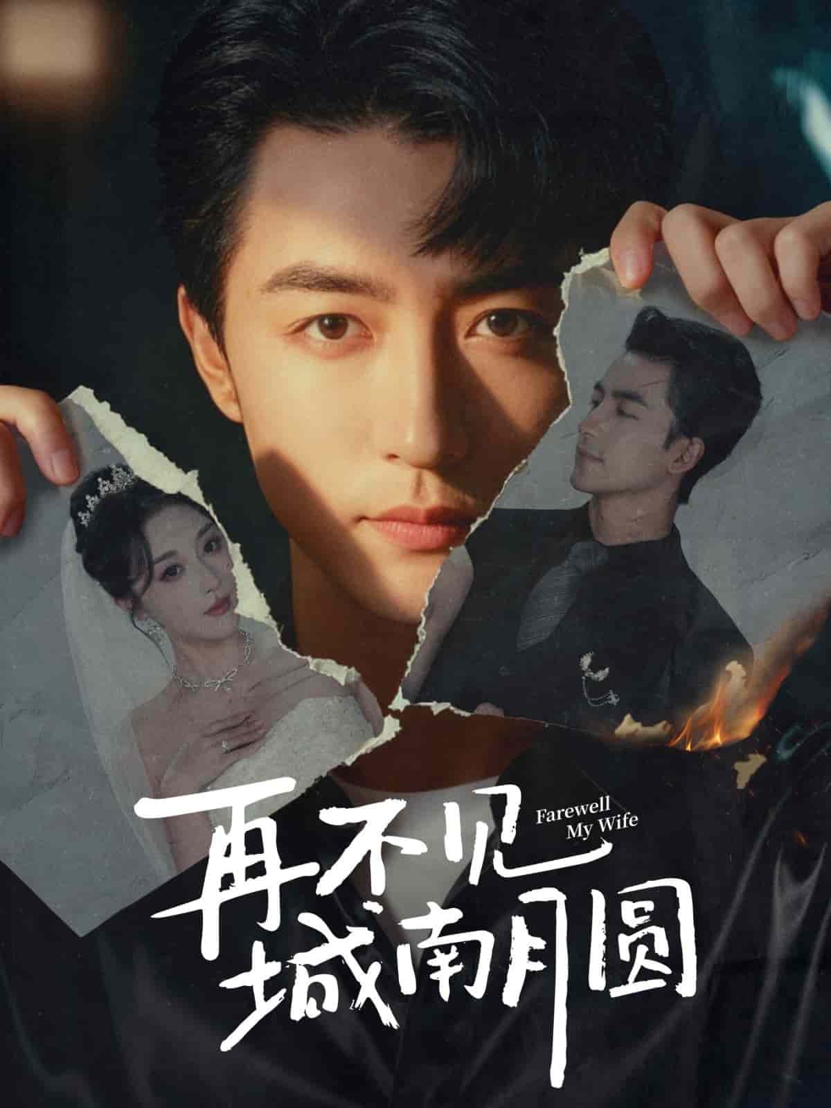 再不见城南月圆封面