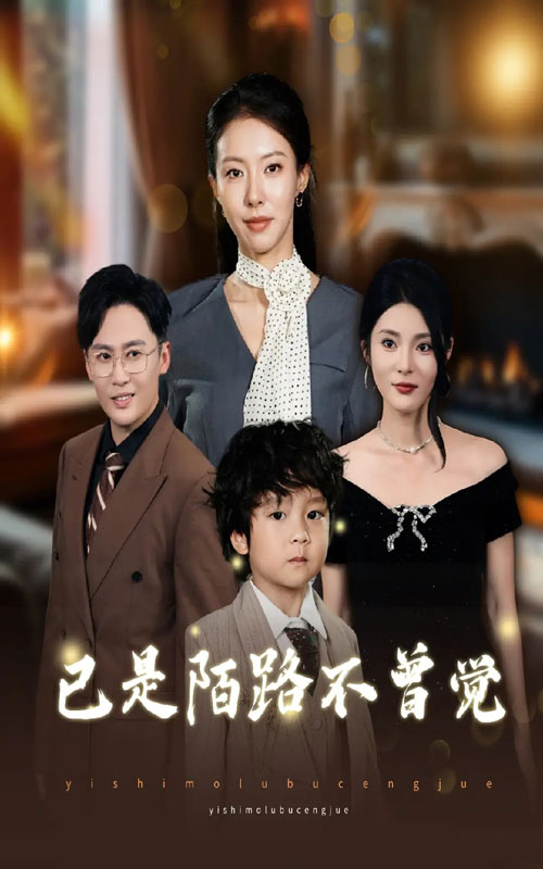 已是陌路不曾觉封面
