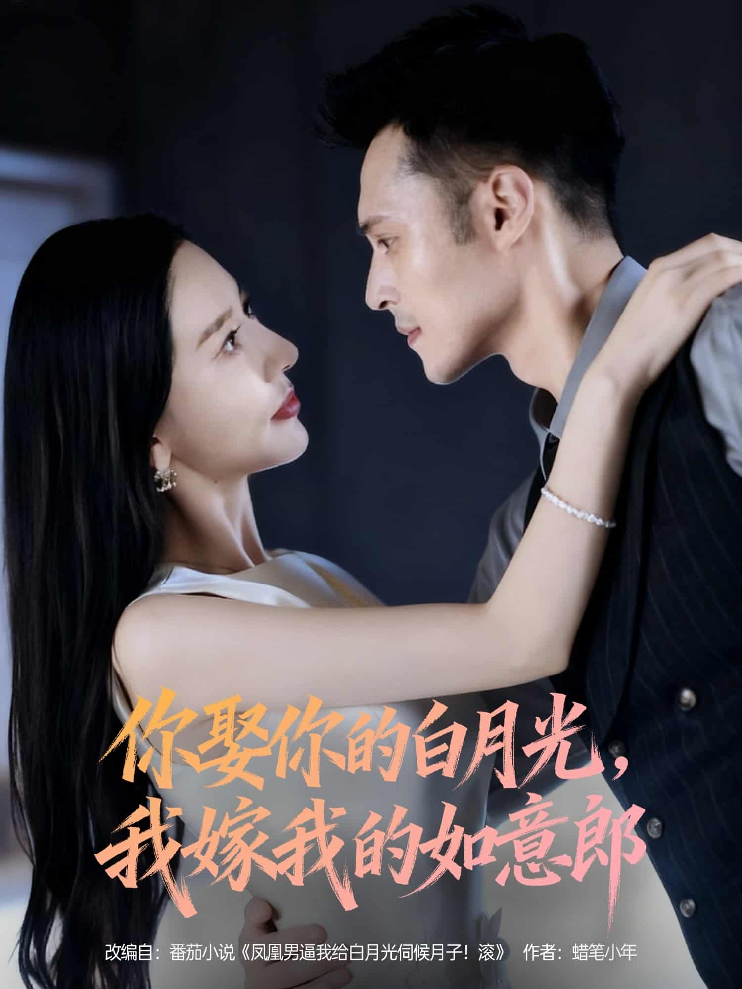 你娶你的白月光我嫁我的如意郎封面