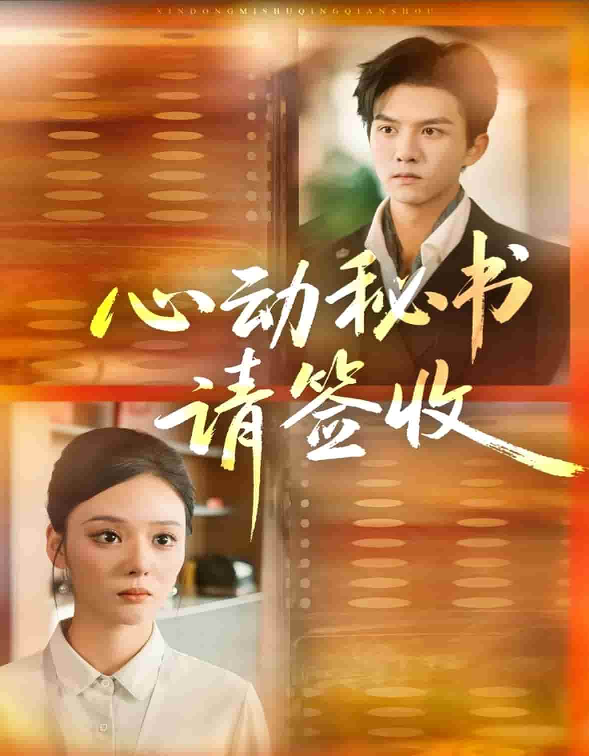 心动秘书请签收封面