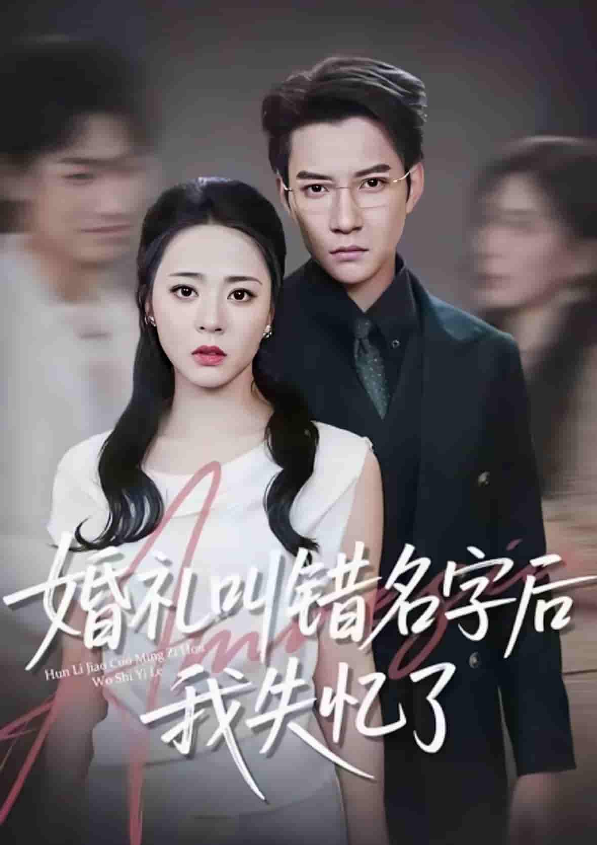 婚礼叫错名字后我失忆了封面