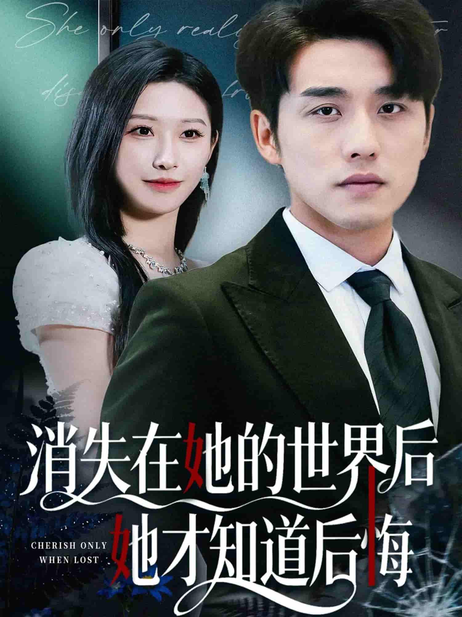 消失在她的世界后她才知道后悔封面