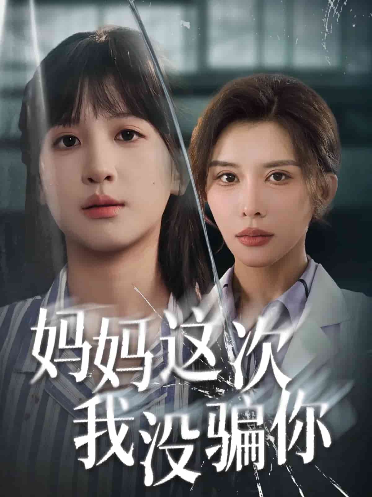 妈妈这次我没骗你封面