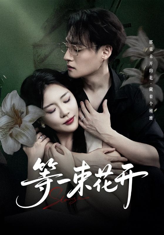 等一束花开封面