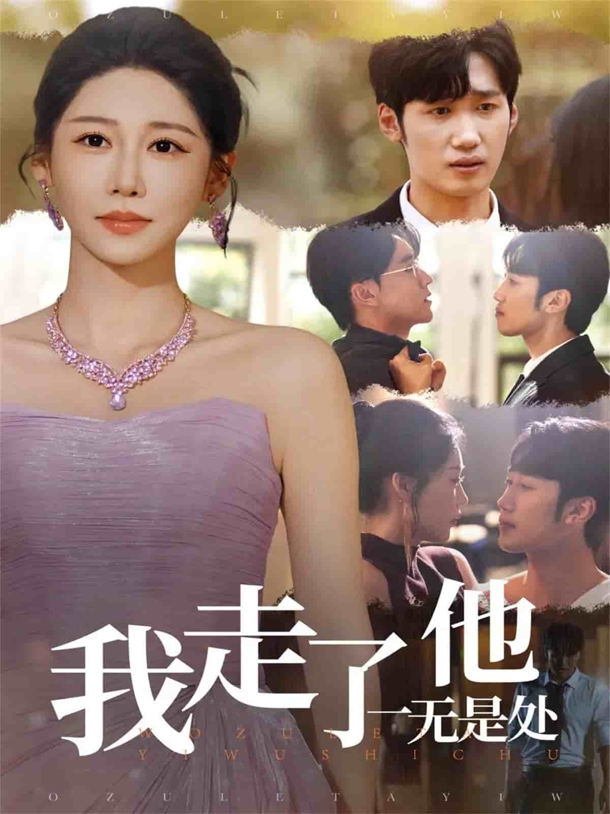 我走了他一无是处封面