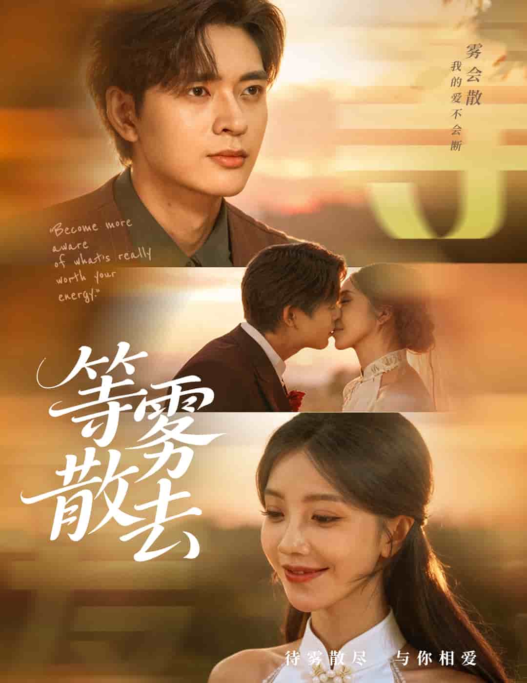 雾散情归处封面