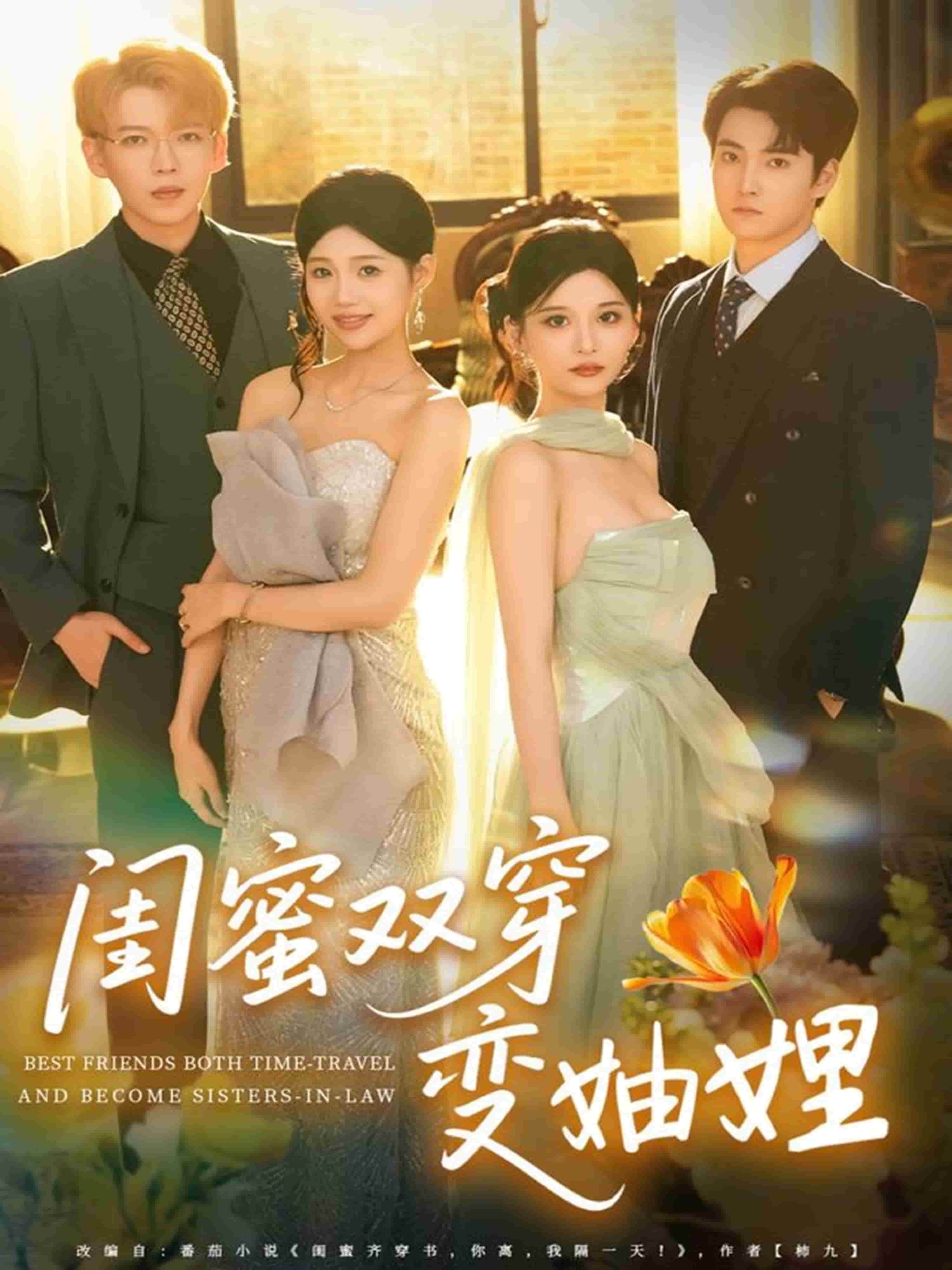 闺蜜双穿变妯娌封面