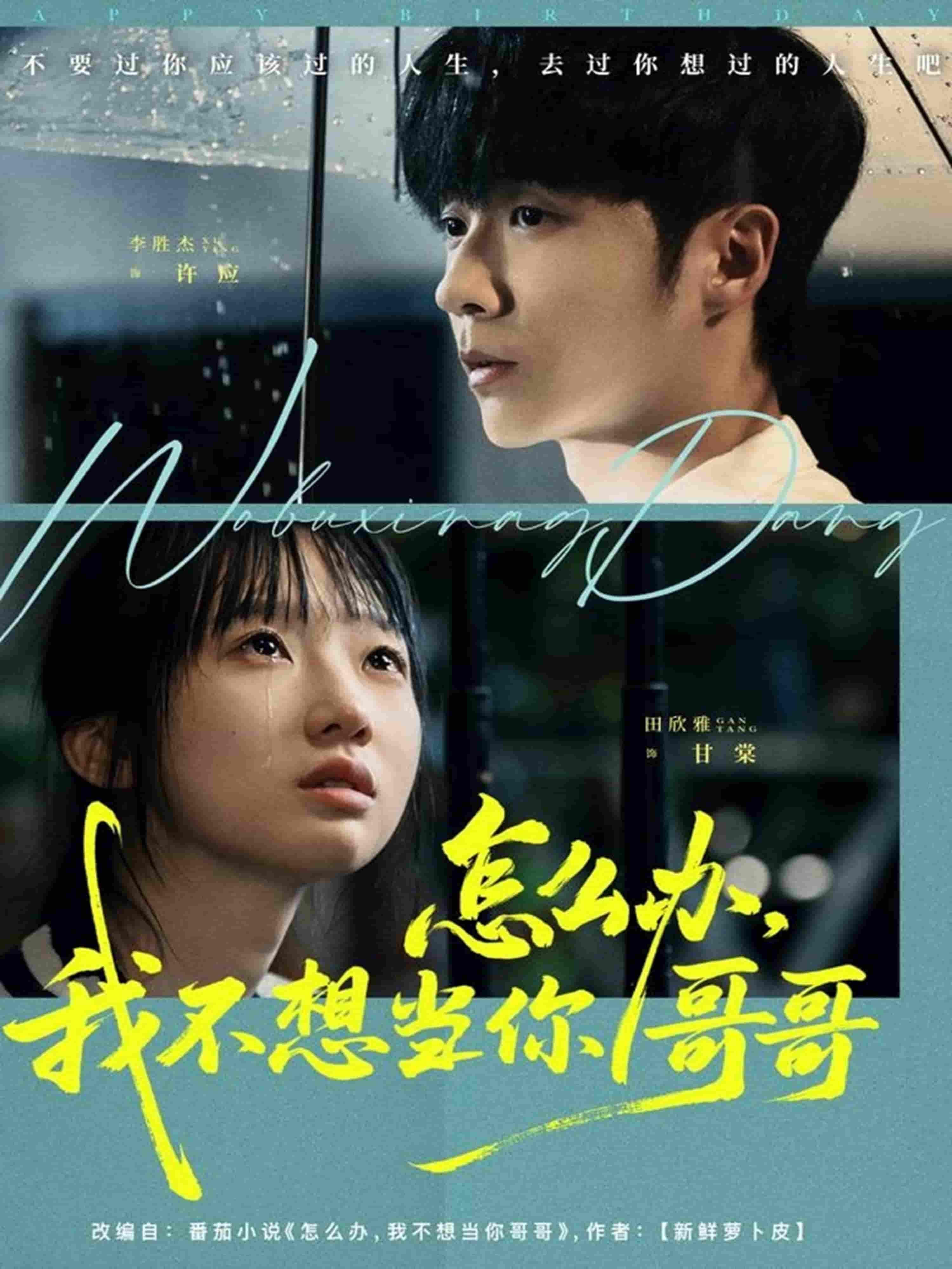 怎么办，我不想当你哥哥封面