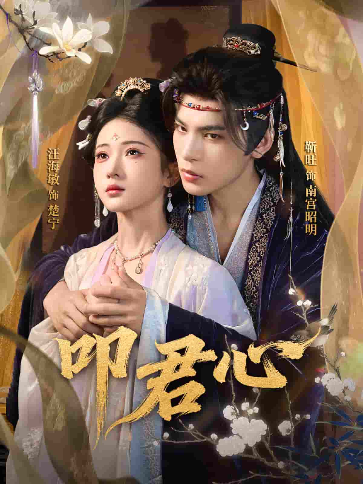 叩君心封面