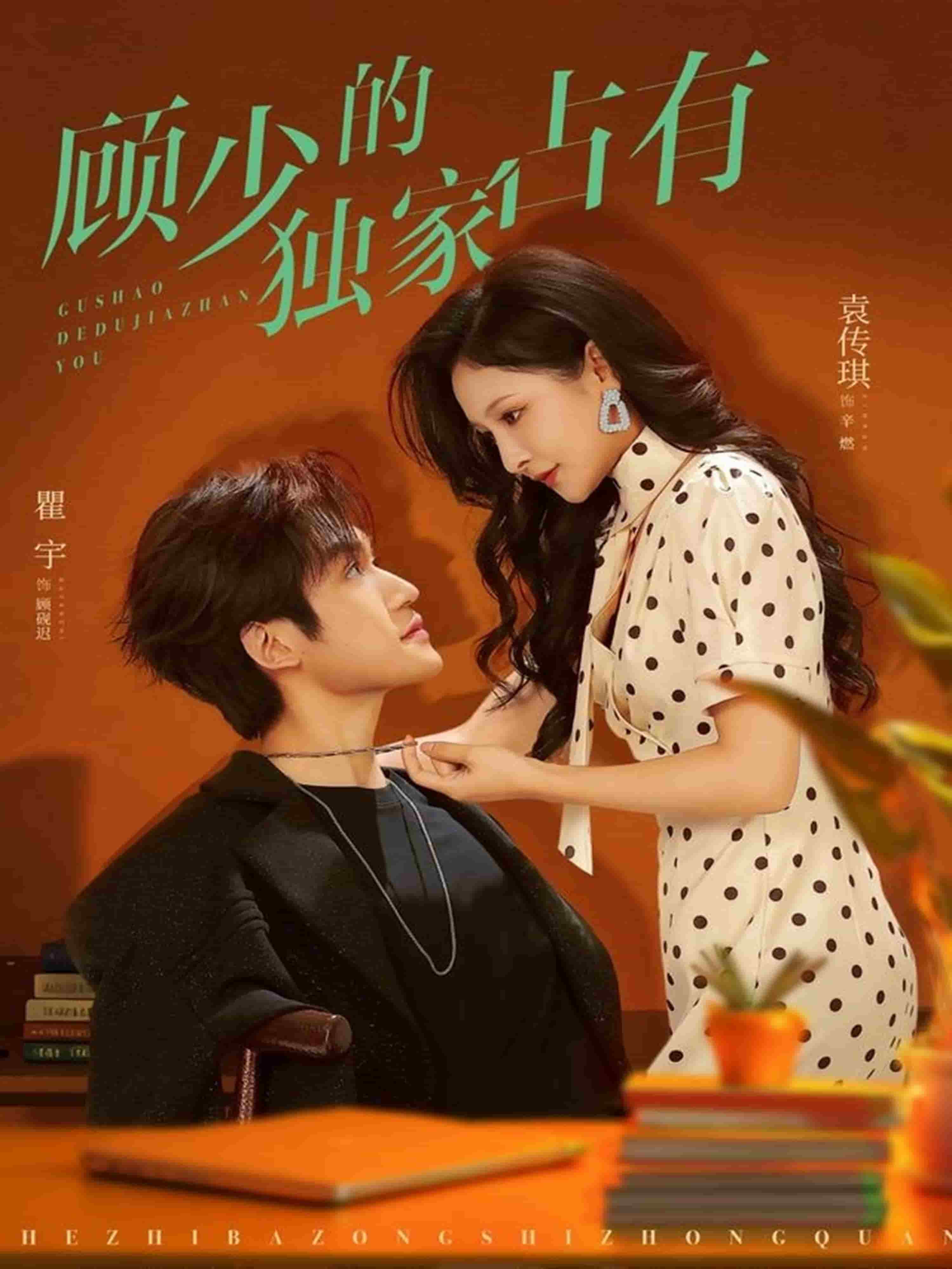 顾少的独家占有封面