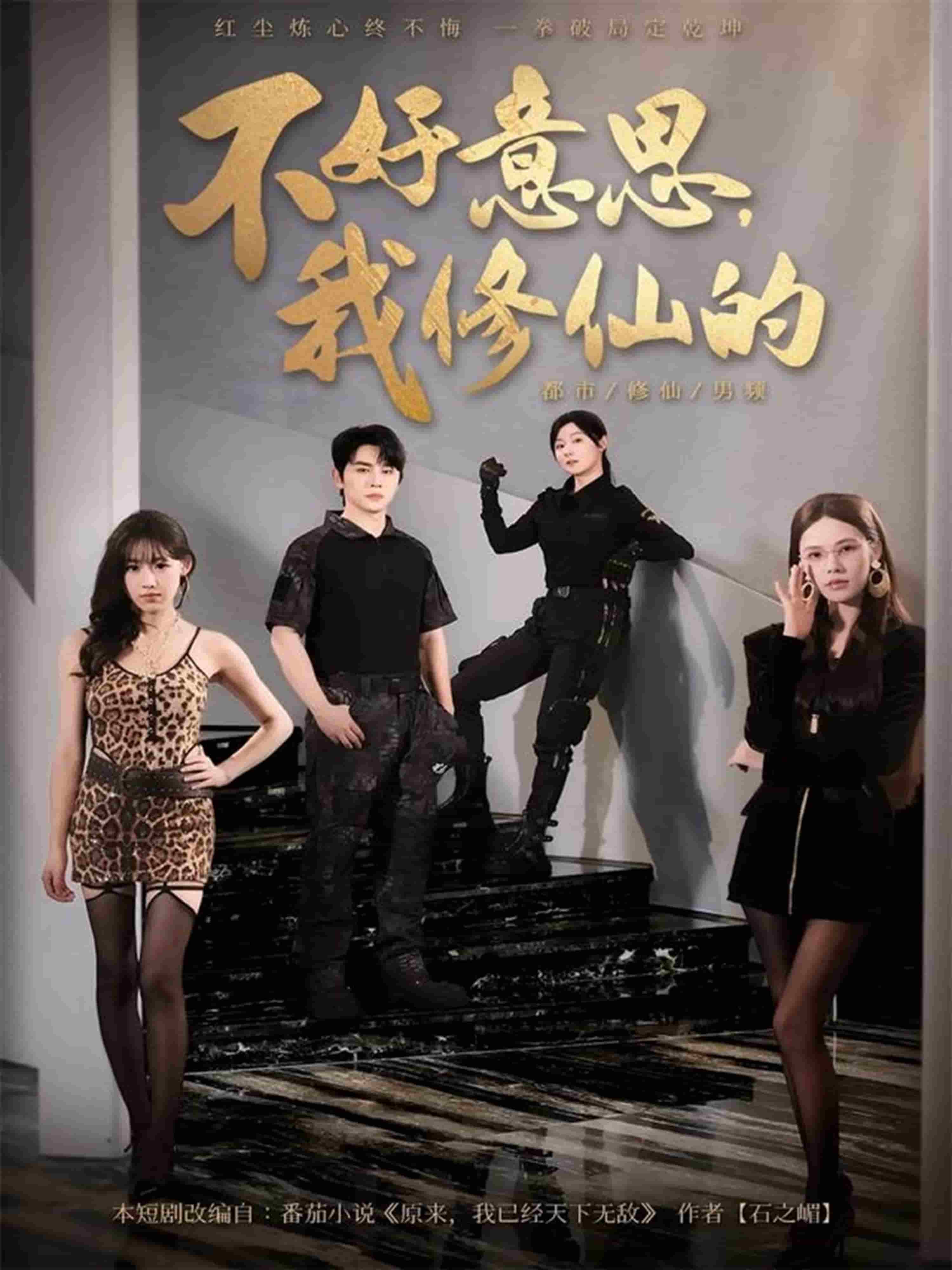 不好意思我修仙的封面