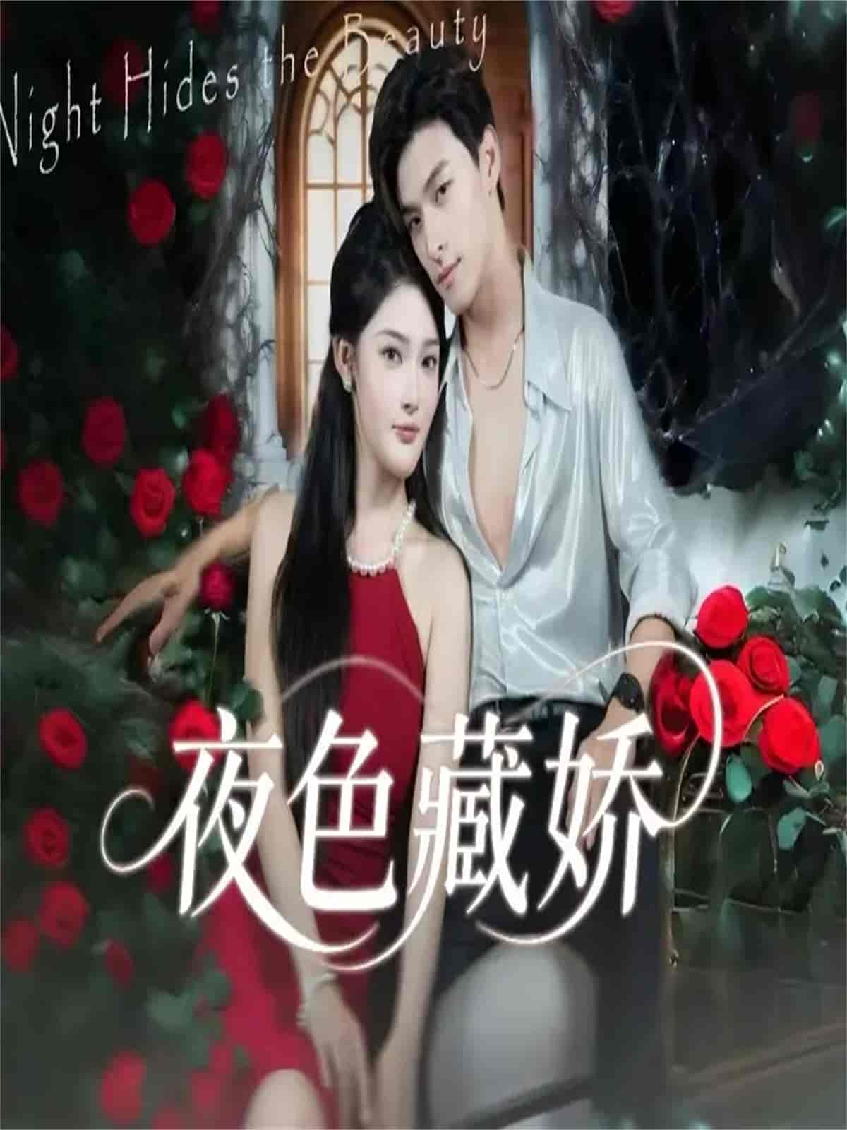 夜色藏娇封面