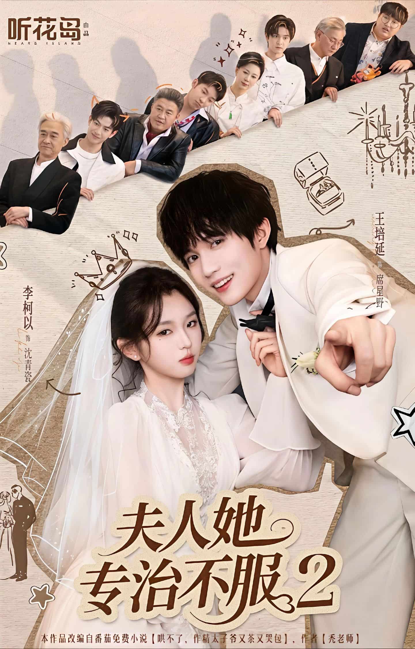 夫人她专治不服2封面