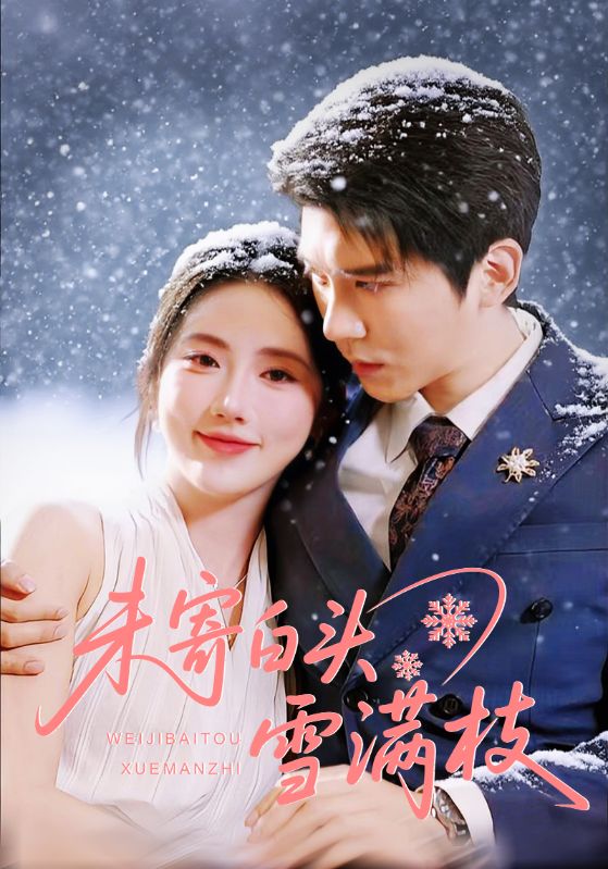 未寄白头雪满枝封面