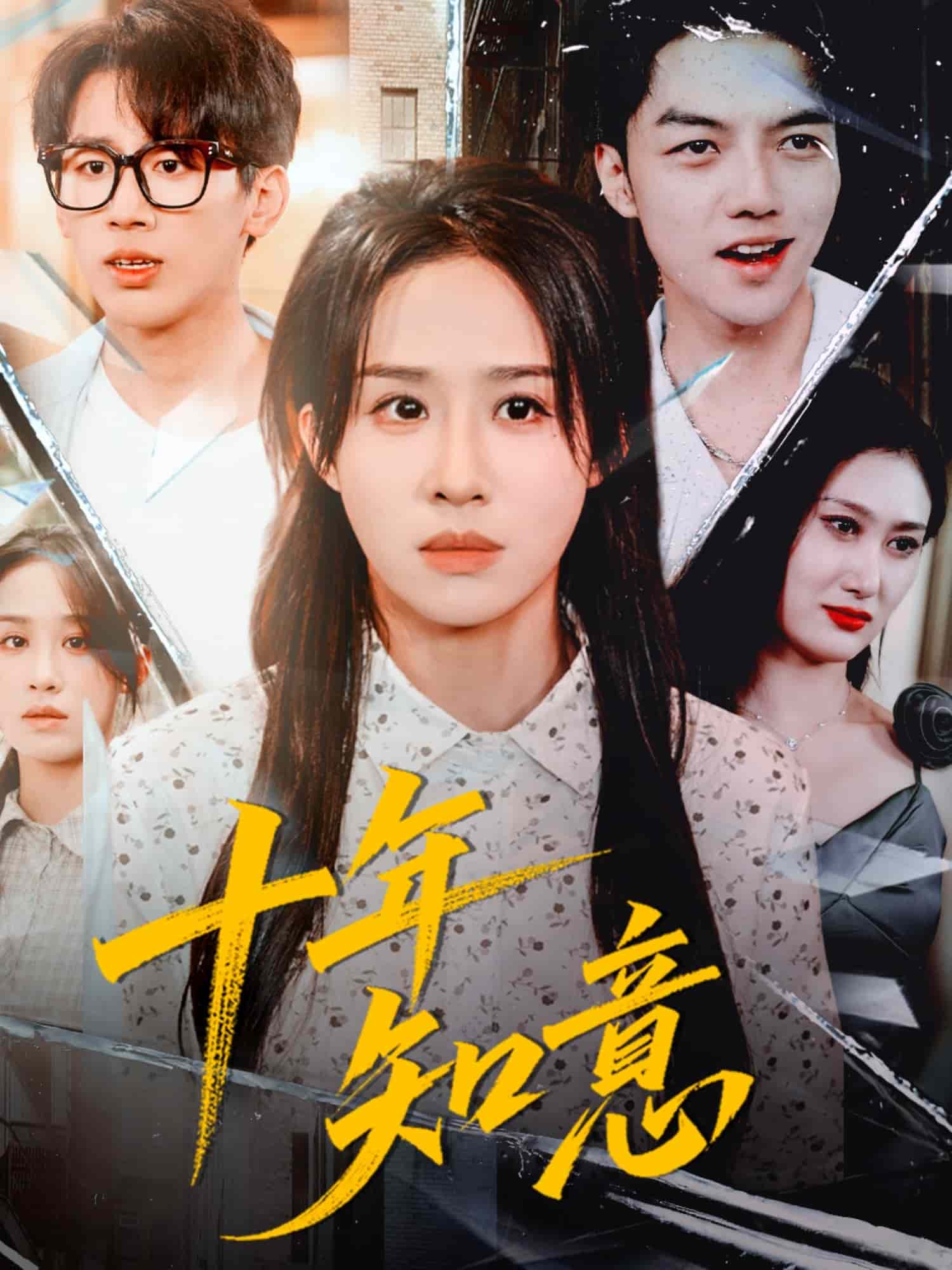 十年知意封面