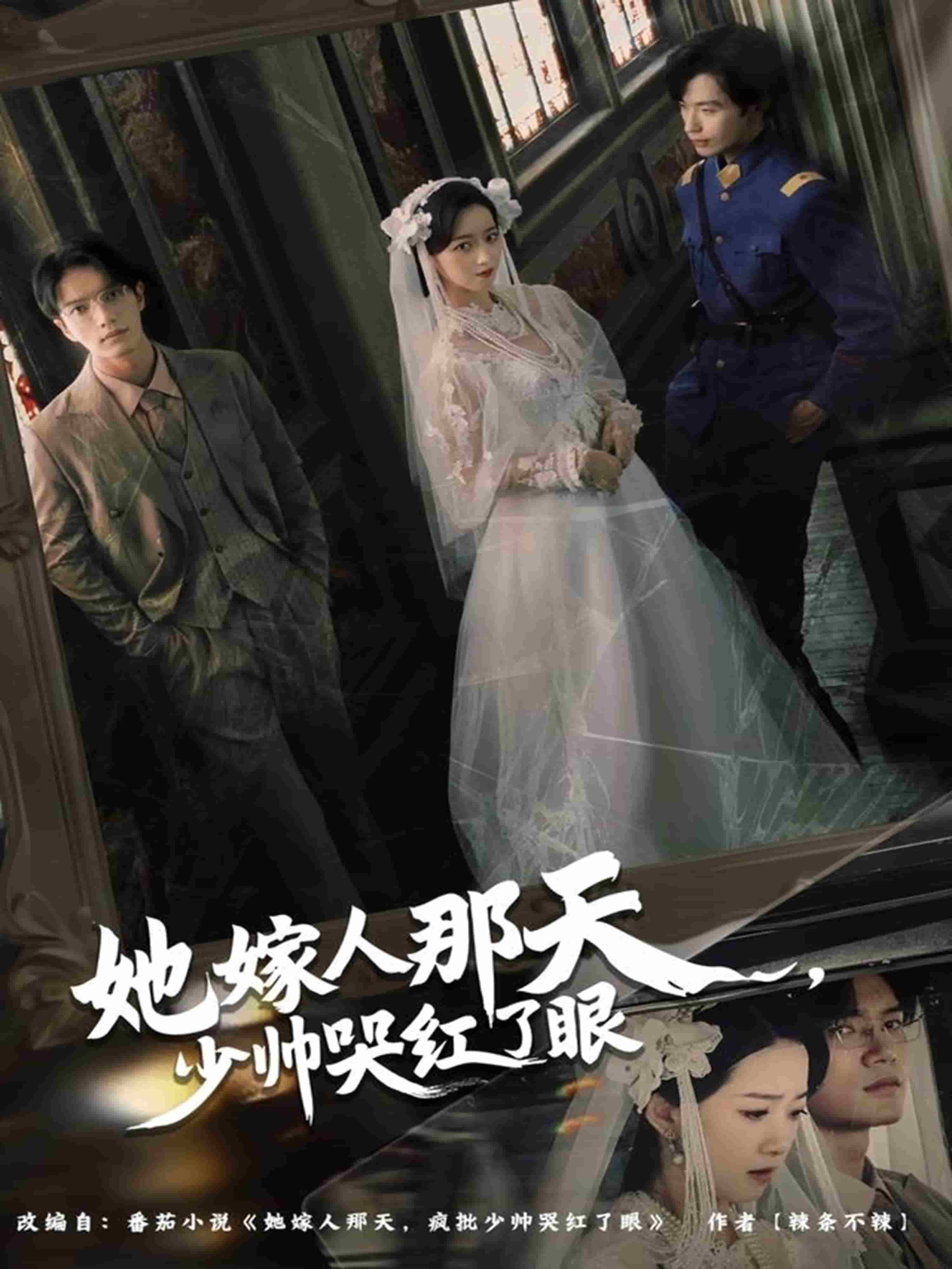 她嫁人那天少帅哭红了眼封面