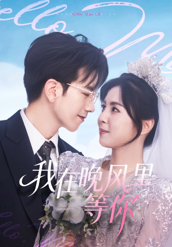 我在晚风里等你封面