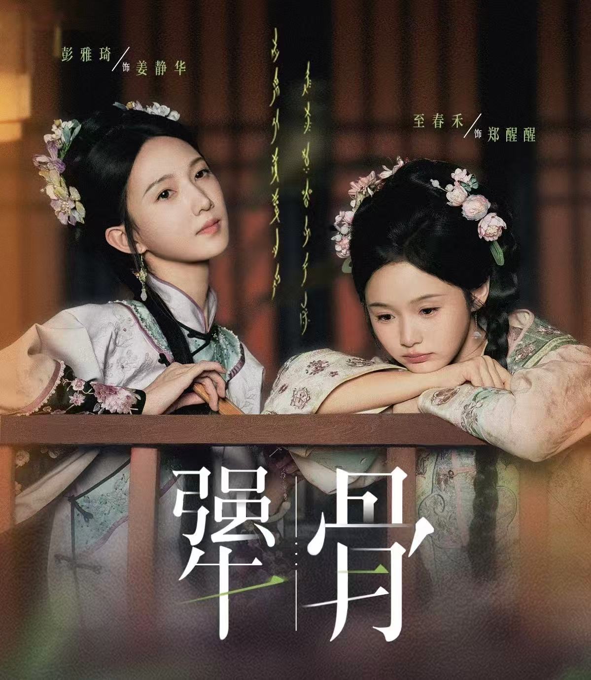 犟骨2封面