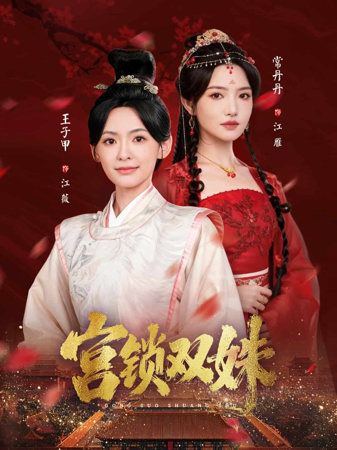 宫锁双姝封面