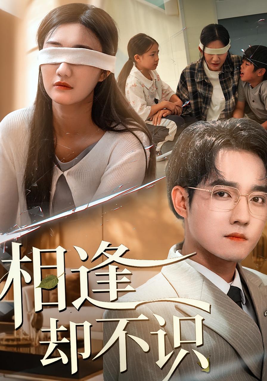 相逢却不识封面