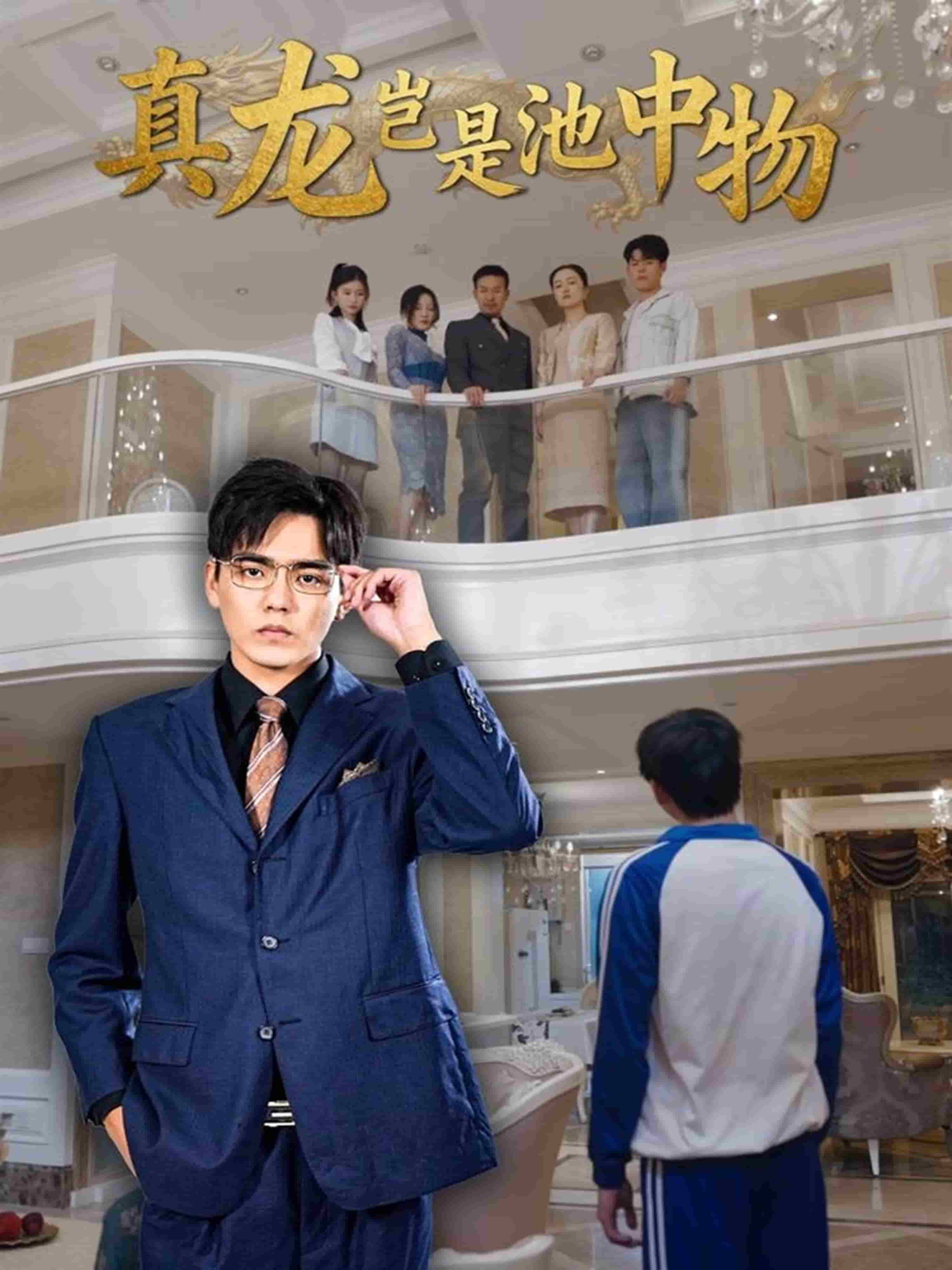 真龙岂是池中物封面