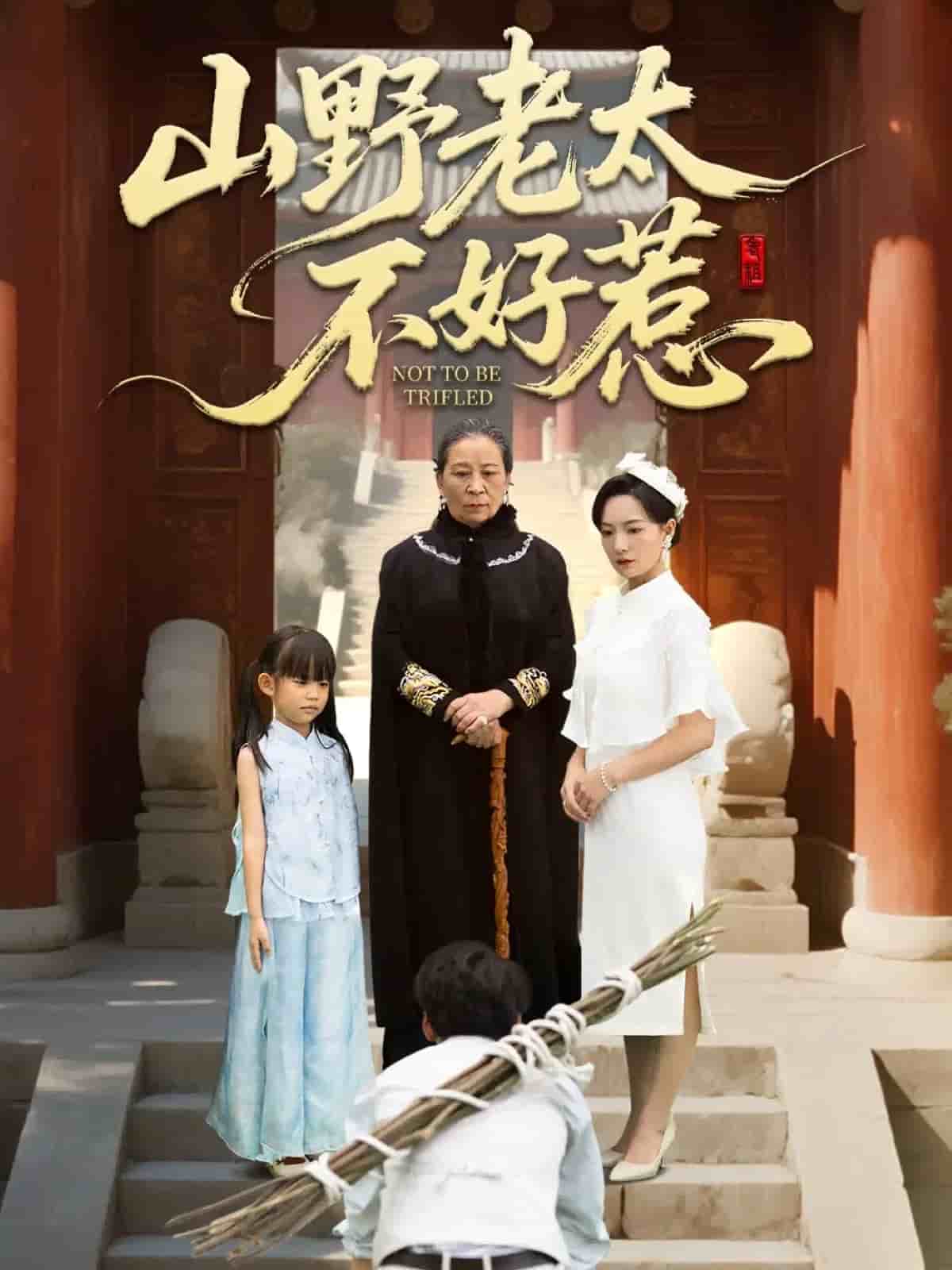 山野老太不好惹封面