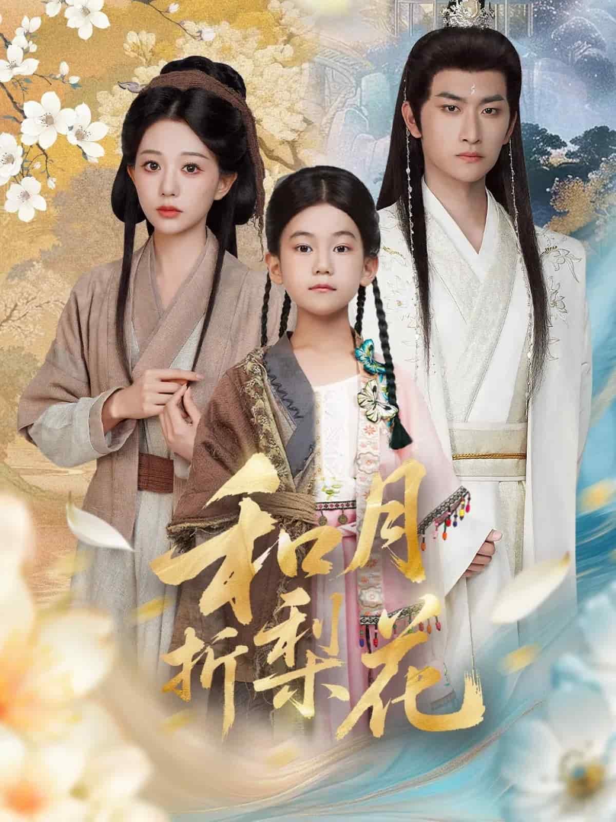 和月折梨花封面