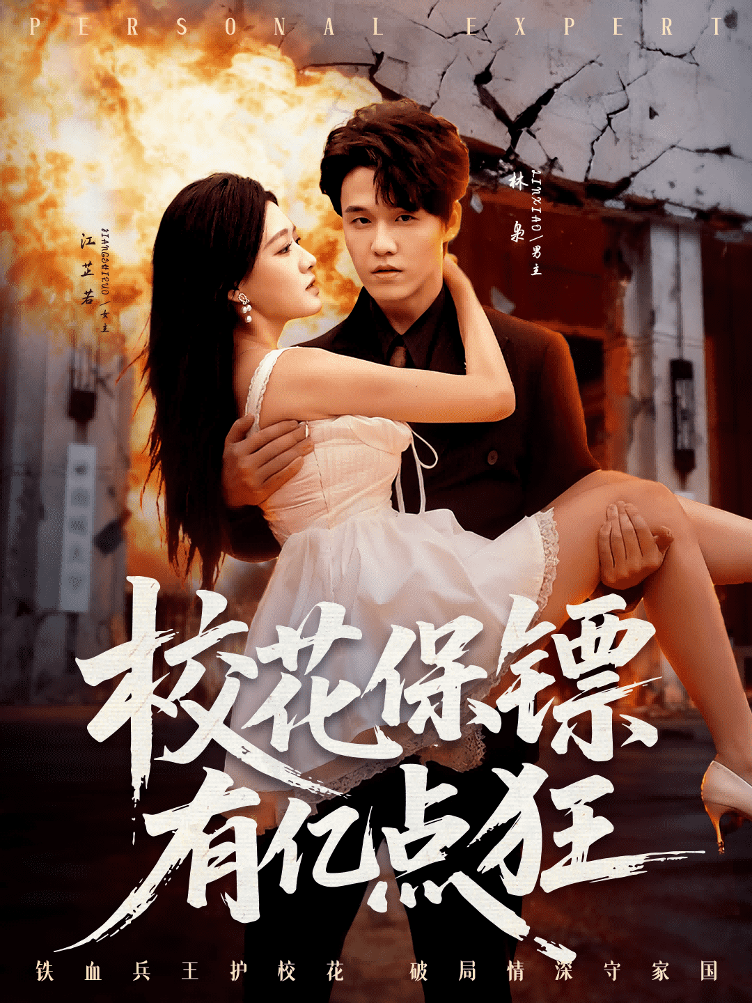 校花保镖有亿点狂封面