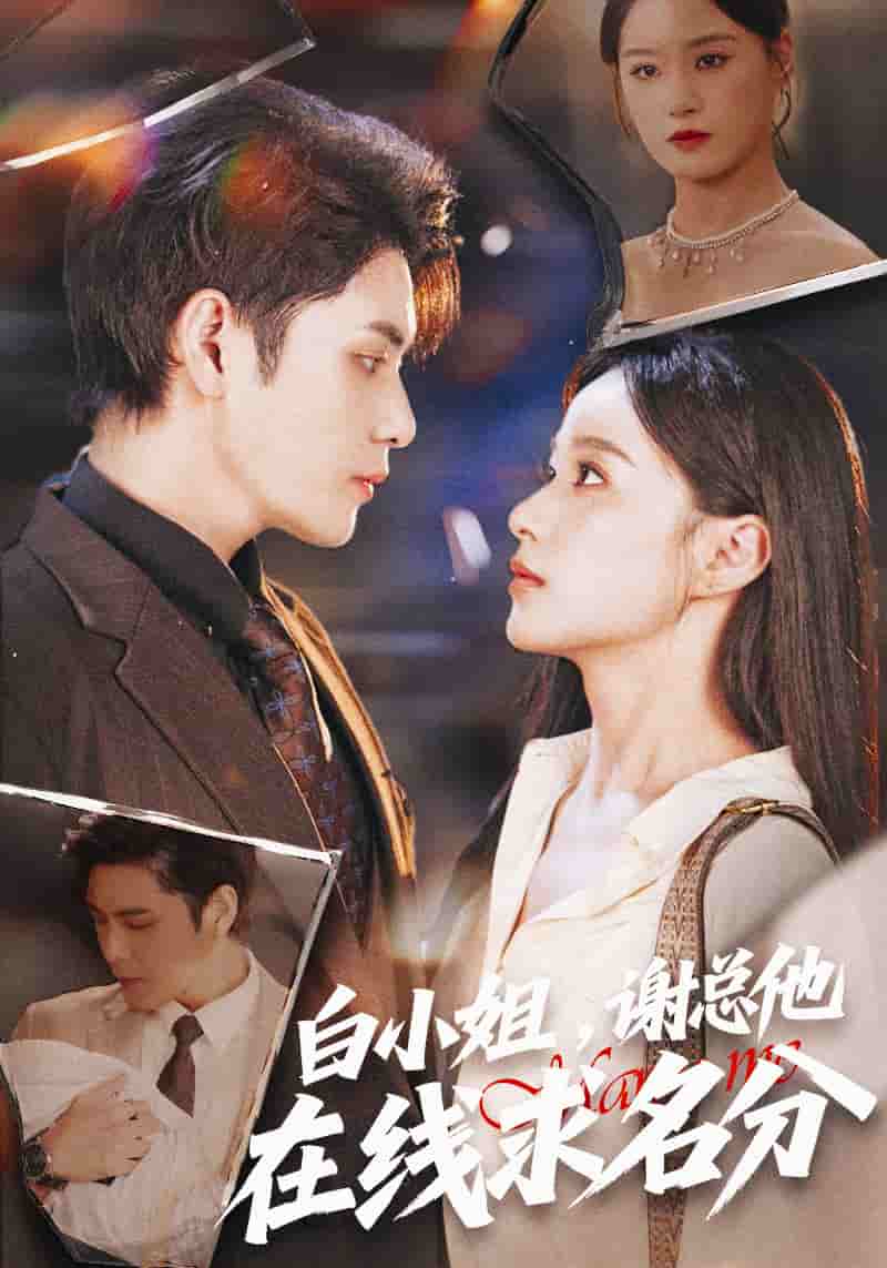 白小姐，谢总他在线求名分封面
