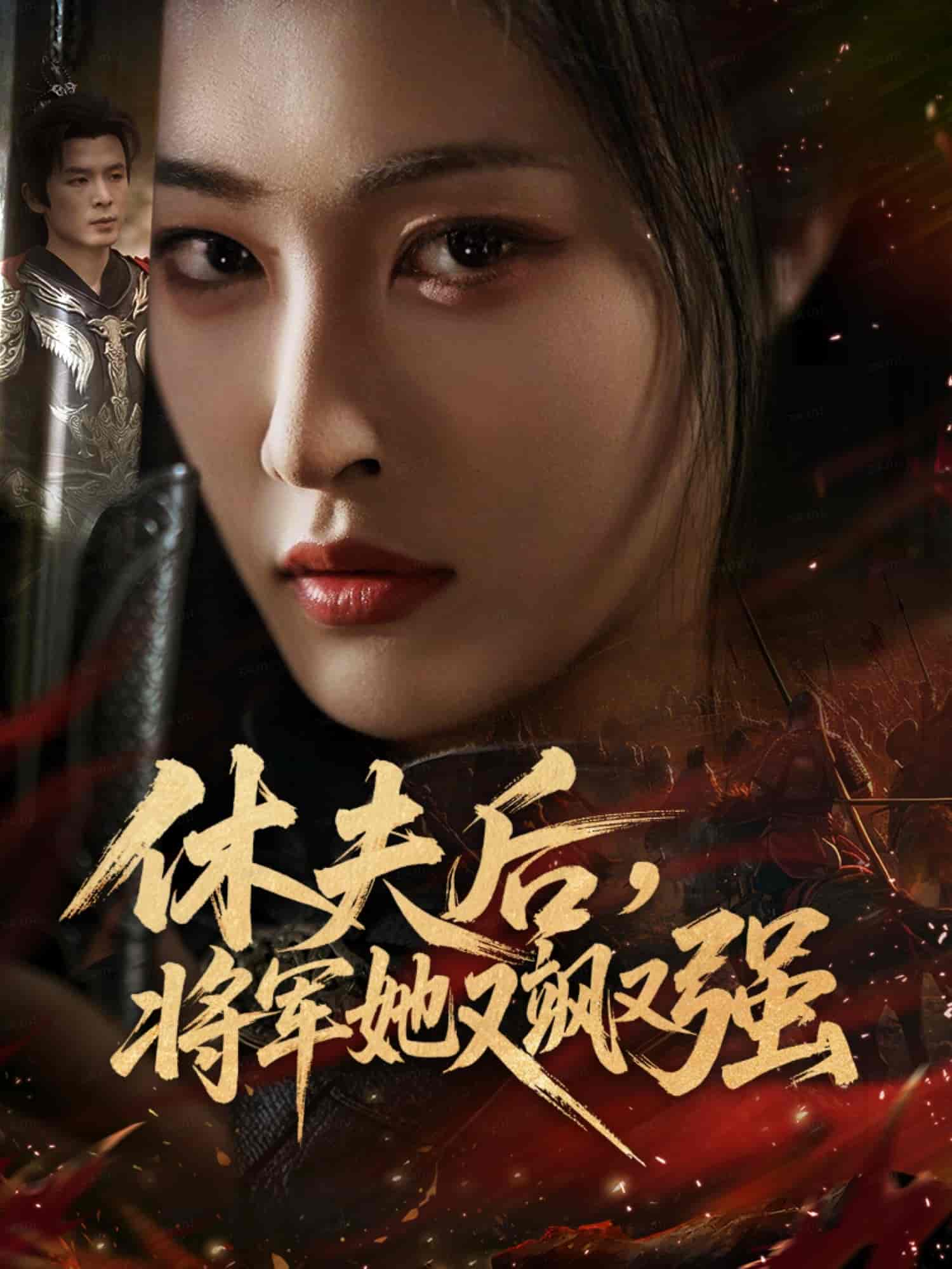 休夫后，将军她又飒又强封面