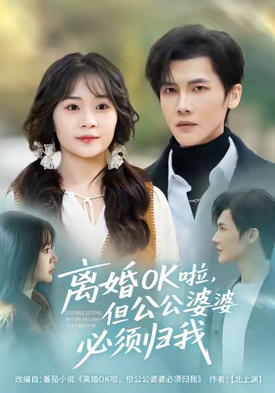 离婚OK啦，但公公婆婆必须归我封面