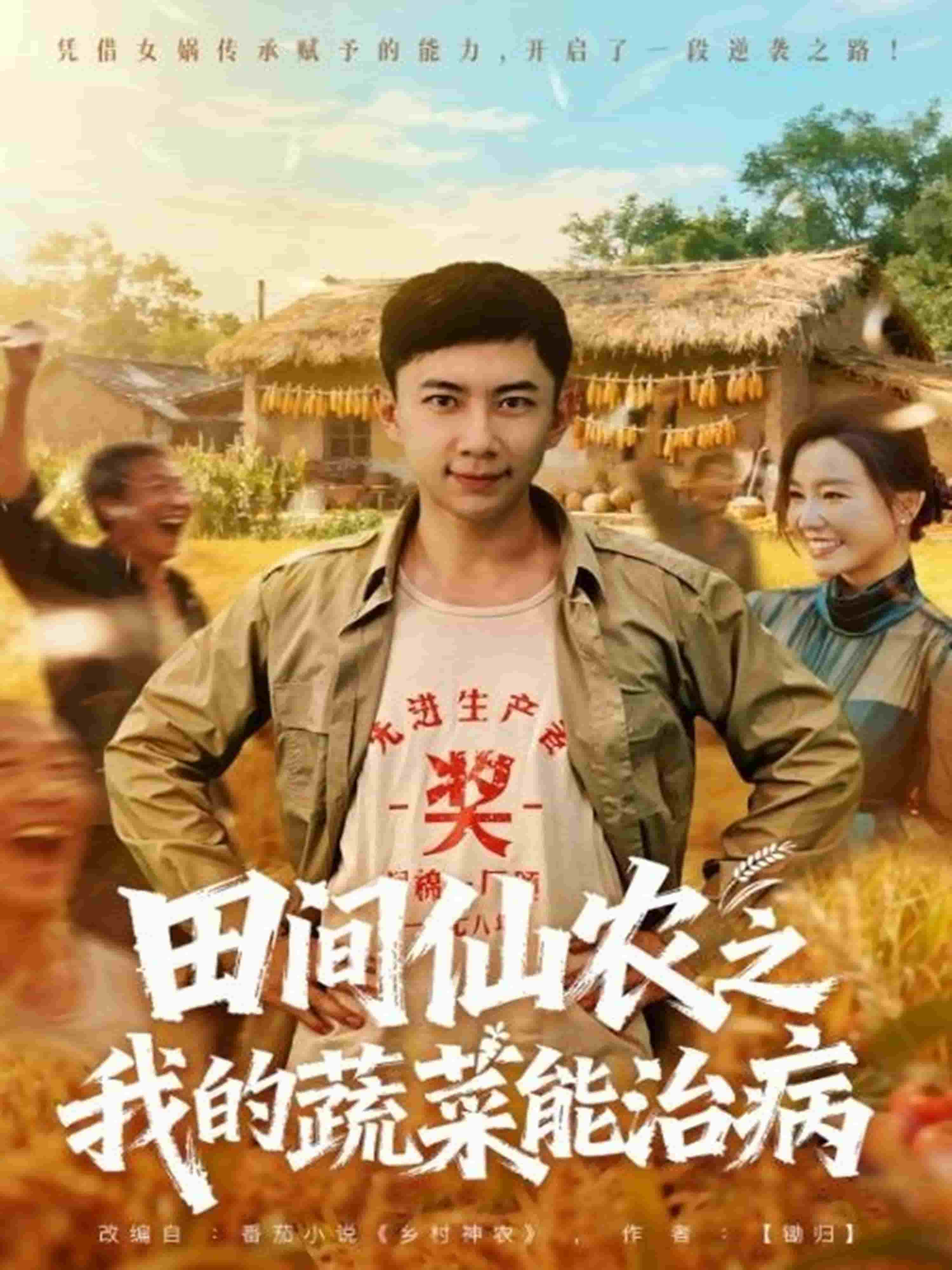 田间仙农之我的蔬菜能治病封面