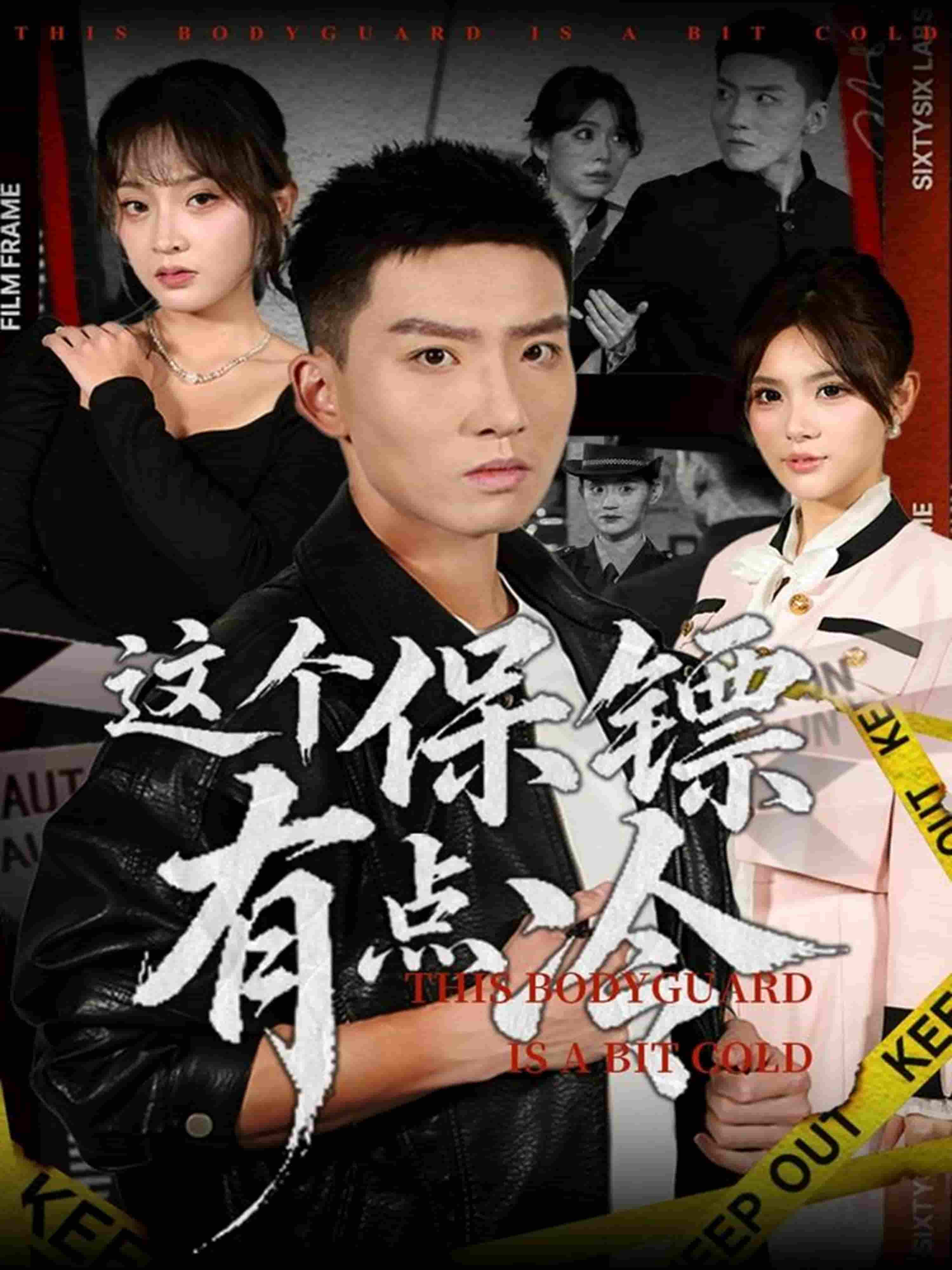 这个保镖有点冷封面