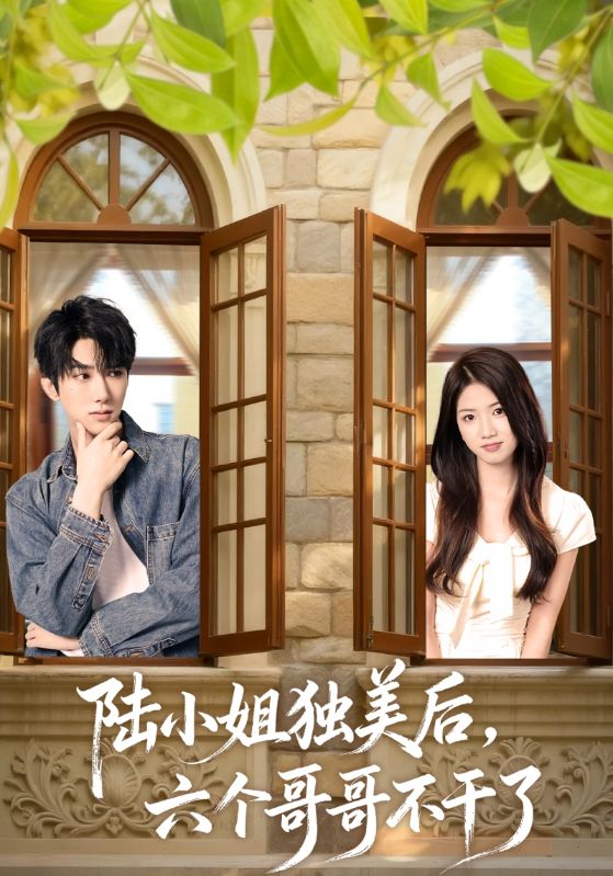 陆小姐独美后六个哥哥不干了封面