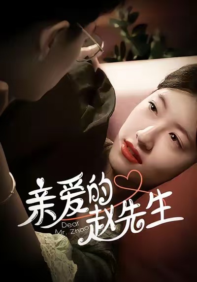 亲爱的赵先生封面