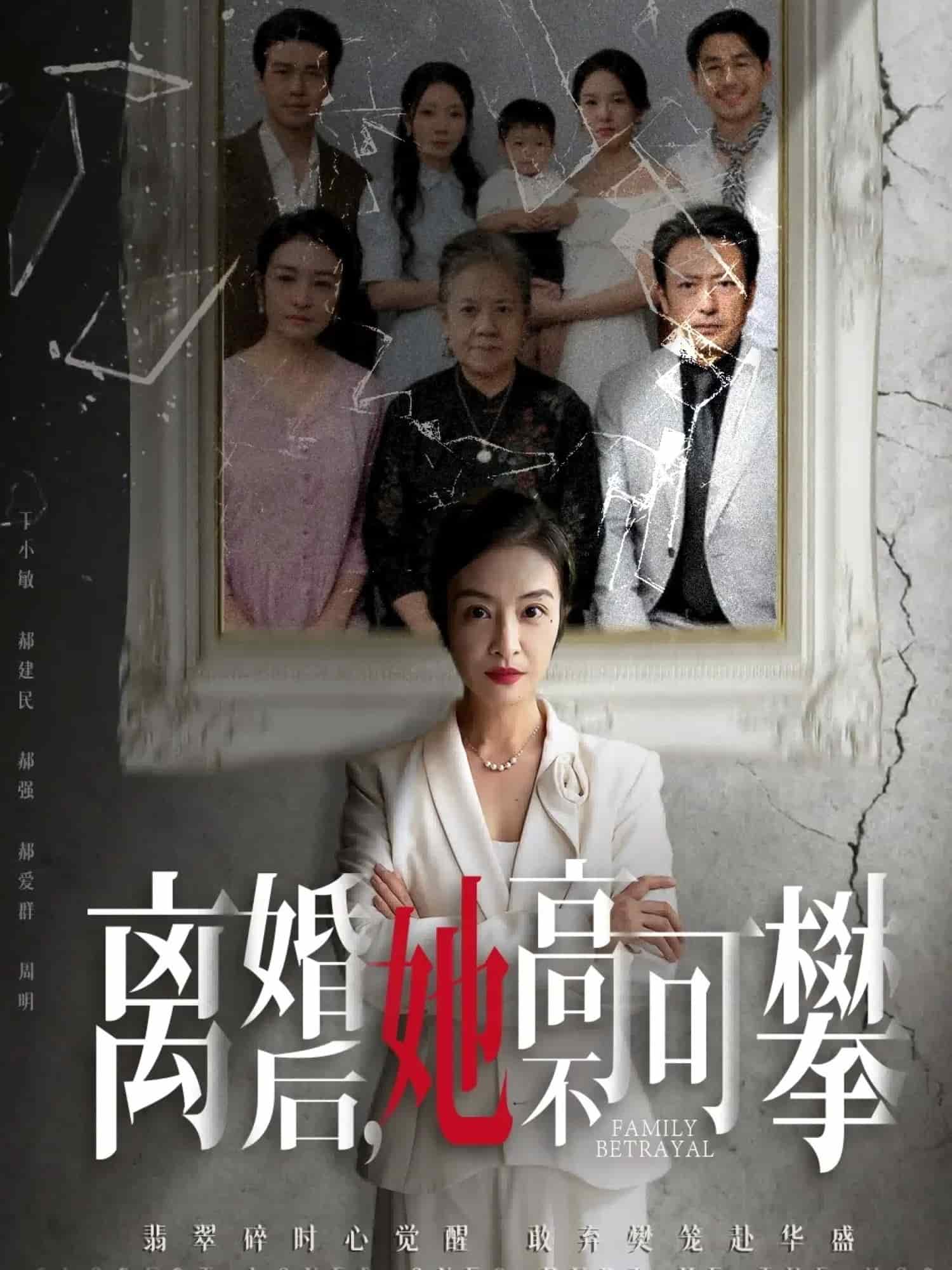 离婚后她高不可攀封面