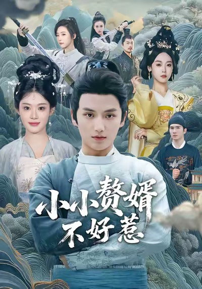 小小赘婿不好惹封面